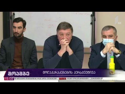 მოლაპარაკების პერსპექტივა - მხარეთა პოზიციები