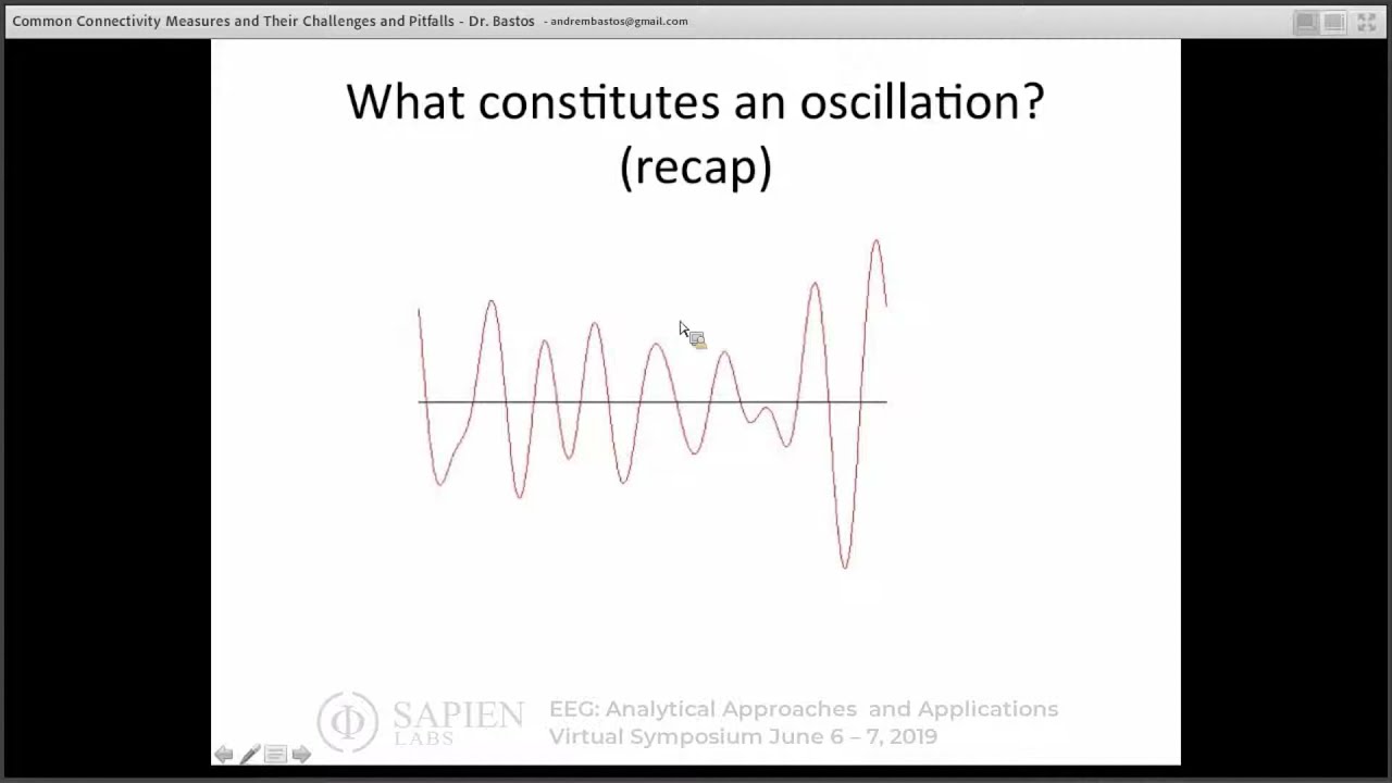 Common Connectivity Measures and Their Challenges and Pitfalls | Dr. Andre Bastos