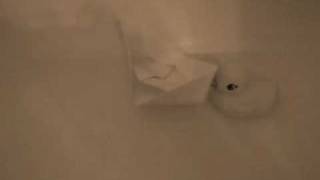 Fireball 2010 - Teaser # 1