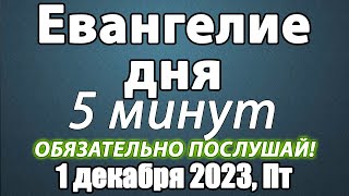 Евангелие дня с толкованием 01 декабря 2023 года Пятница Чтимые святые. Церковный календарь