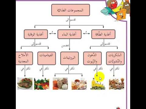 المجموعات الغذائية