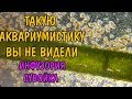 ТАКУЮ АКВАРИУМИСТИКУ НЕ ПОКАЖУТ! ИНФУЗОРИЯ СУВОЙКА. Vorticella