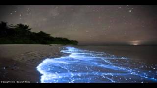S.Mandelker PhD: The Law of One, Session 46 (2)