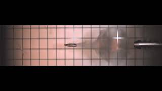 Balística 50 Cal Muzzle Exit em câmera de alta velocidade i SPEED 7