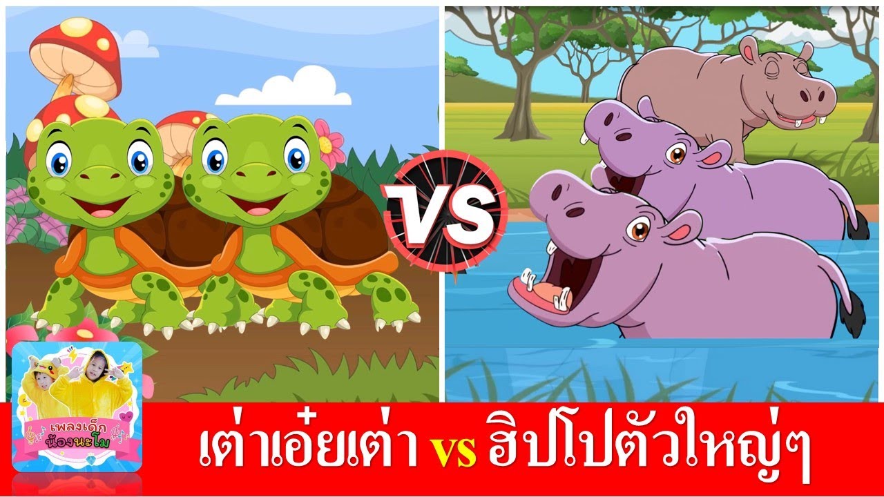 เต่าเอ๋ยเต่า vs ฮิปโปตัวใหญ่ๆ