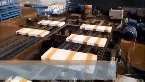 Sorting  & Palletizing