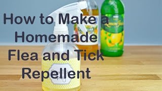 How to Make a Homemade Flea and Tick Repellent