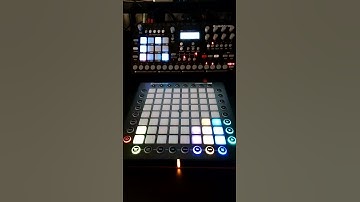 Axoloti / Launchpad Pro Visualisation