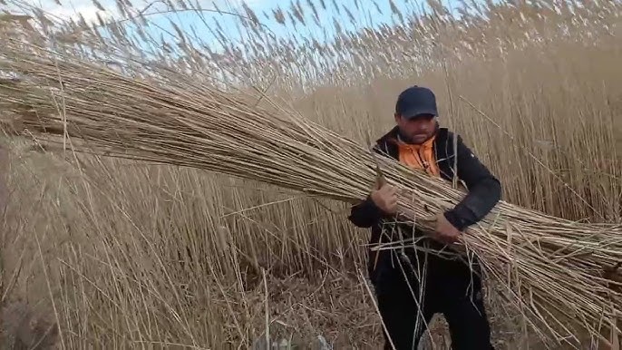 Ogil ona rv sikish Elena Vaenga erotik fotosuratlar