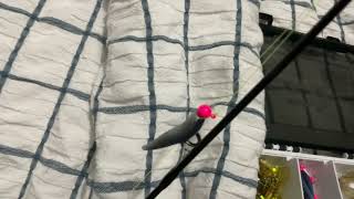 My fishing set up for light fish