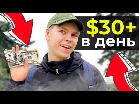 Видео: Я зарабатываю $20-30 В ДЕНЬ на этом... Арбитраж трафика + Домонетизация на Push, CPA и TrafficBack