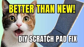 I Fixed My Cat’s Scratch Pad – Better Than New!
