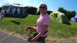 Warren Farm Camping , Brean down , Two Labradors and a dog walk 2023,  Vango Keswick 600 poled tent