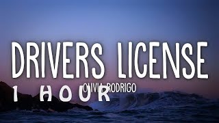 [1 HOUR 🕐 ] Olivia Rodrigo - drivers license (Lyrics)