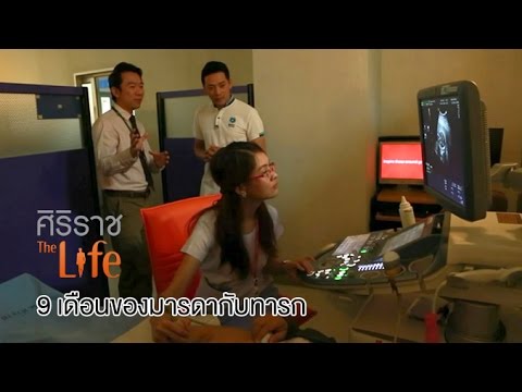 ศิริราช The Life [by Mahidol] ซีรีส์ มองโรคในแง่ดี ตอน 9 เดือนของมารดากับทารก