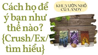 Cách họ để ý bạn như thế nào? {Crush\/Ex\/Đang tìm hiểu} | Chọn 1 tụ bài | Xem tarot