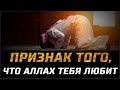 ПРИЗНАК ТОГО, ЧТО АЛЛАХ ТЕБЯ ЛЮБИТ
