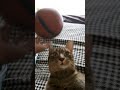 plum knows how to do basketball
