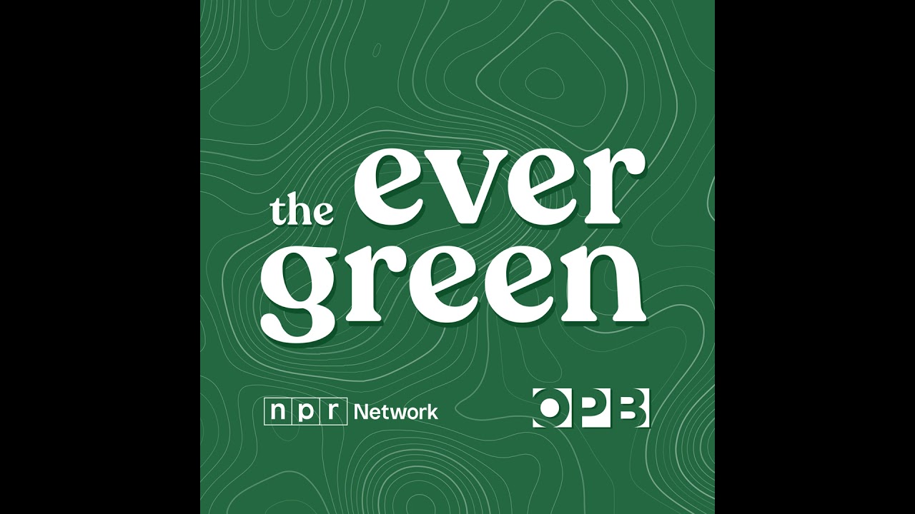 Мы заглянем за кулисы короткой законодательной сессии штата Орегон.