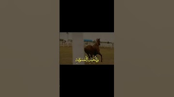 تلاوة إبداعية للقارئ عبدالرحمن ناجي بمحاكاة اللحيدان لسورة أل عمران #عبدالرحمن_ناجي#محمد_اللحيدان