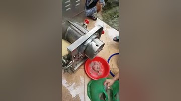 Máy tách xương cá, máy ép cá biển, máy lọc xương cá làm chả cá, máy tách xương cá làm chả cá