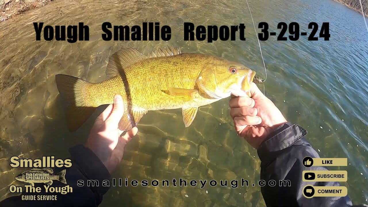 Youghiogheny Smallmouth Report 3-29-24 # #smallmouth #fishing #viral  #trending #video #reels 