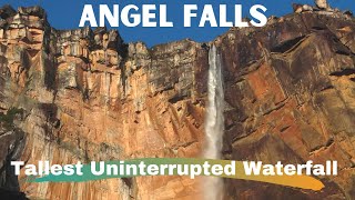 5 Fascinating Facts About Angel Falls, the Highest Waterfall in the World