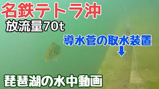 [水中動画]名鉄テトラ沖 放流量70トン #lakebiwa #underwater #琵琶湖 #水中動画