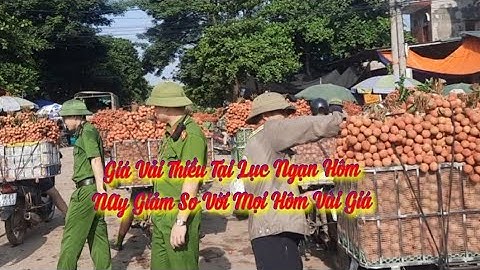 Giá Vải Thiều Lục Ngạn Chợ Hôm nay Giảm Giá Nhiều Vietnamese lychee
