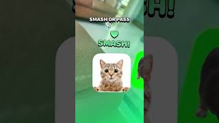 Gerby Yes I Named The Cat Gerby-