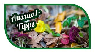 Aussaat Tipps für November 🐔 Der Vorratskeller wird voller ❄️Selbstversorgung im Winter