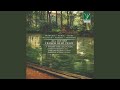 Miniature de la vidéo de la chanson Concert Champêtre: I. Ouverture (Allegro Giocoso)