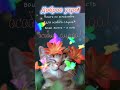 Доброе утро,хорошего дня открытки на каждый день #открытка #доброеутро #видеооткрытка #доброеутречко