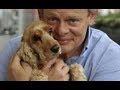 Martin Clunes Exclusive Interview &amp; Life Story - Doc Martin / Dogs / Horses / Men Behaving Badly