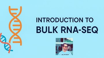 Bulk RNA-Seq Introduction