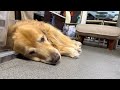 ひまそうなので舐めてみます