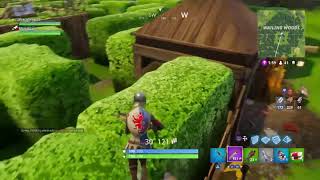 Fortnite partidazas