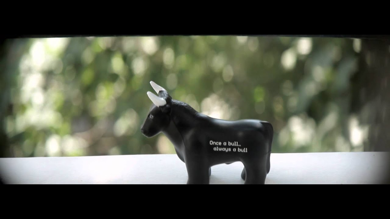 Vistascope 16 fixed focus 1.5x anamorphic lens test