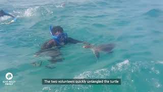 Sea Turtle Rescue in Kenya