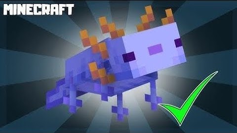 how to spawn blue axolotl in Minecraft bedrock 1.21