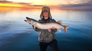 Fishing in Musky Paradise (Fell into the Lake)