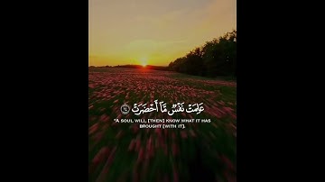 قرآن كريم بصوت جميل جدا😴❤️القارئ عبد الباسط | ارح سمعك تلاوة هادئة تنسيك هموم الدنيا كلها🤲🏻💜