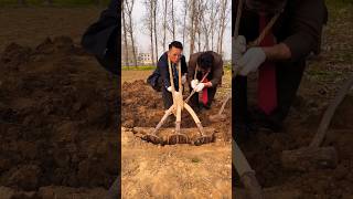 Smart Soil Digging Trick for Farmers 🌱🔧 #Shorts