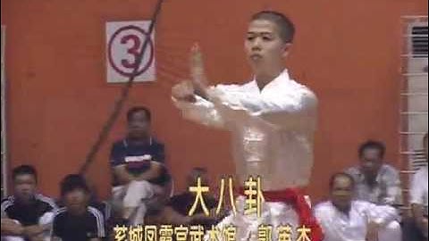 Fujian Zhangzhou Martial Arts - Big 8 Trigrams [漳州 -大八卦]