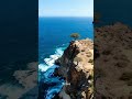 These Trees Look Unreal #Socotra#HiddenPlaces#EarthMysteries#DragonBloodTree#BeyondTheMap