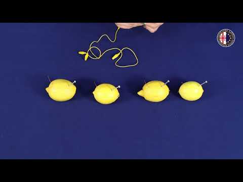 ლიმონის ბატარეა | Lemon Battery