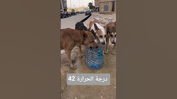 القران الكريم راحة نفسية #اكسبلور #قرآن