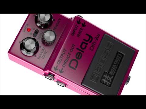 DM-2W Delay WAZA CRAFT series