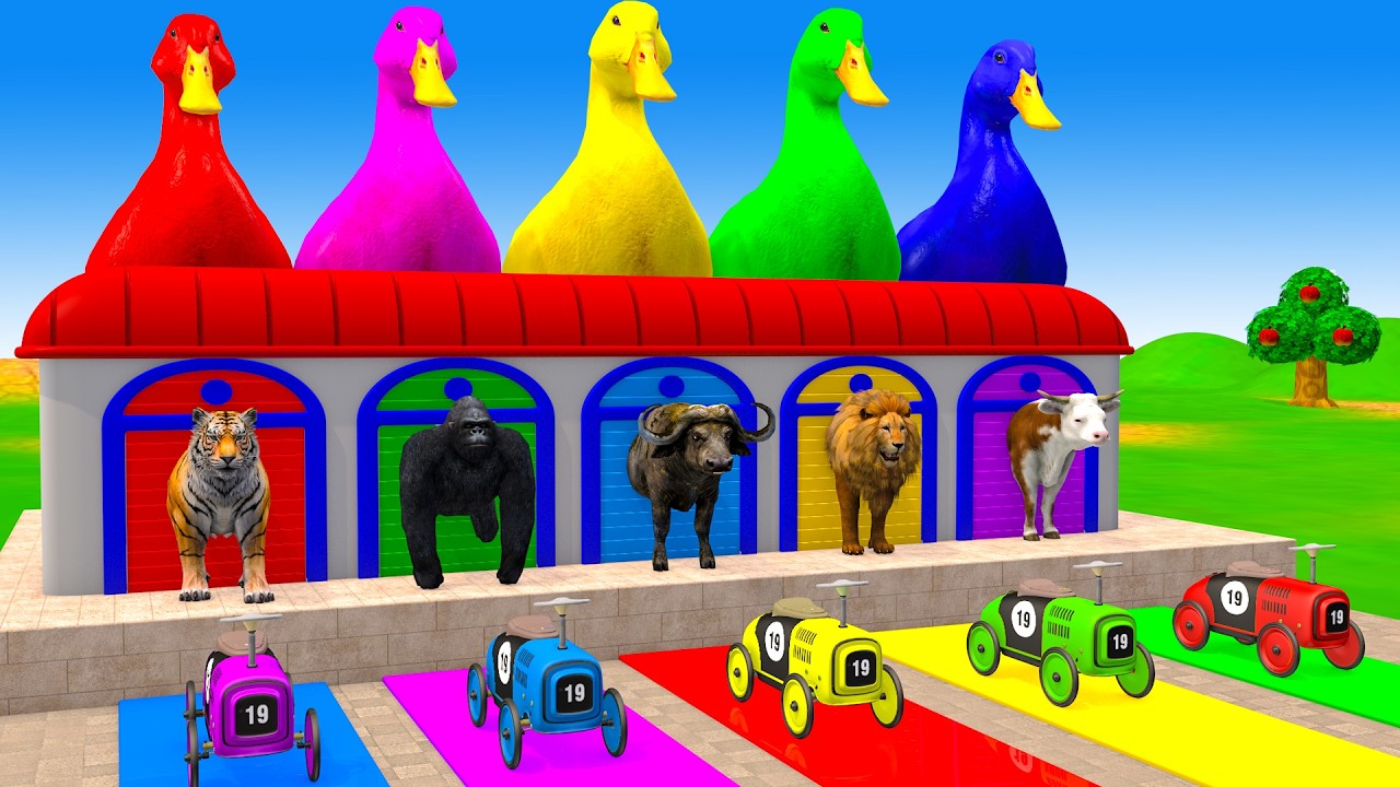 Long Slide Game With Cow Elephant Gorilla Hippopotamus Tiger 3d Animal Game Funny 3d Animals