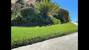 The Turf Edge Installation